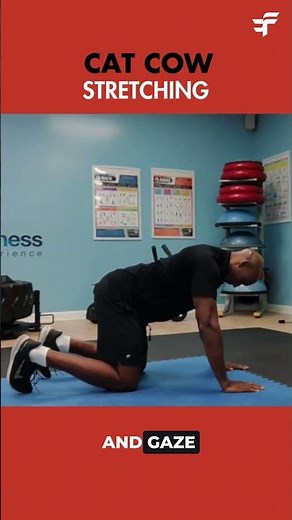 Cat Cow Pose for Spine Mobility | Stretch Tutorial with Sam
