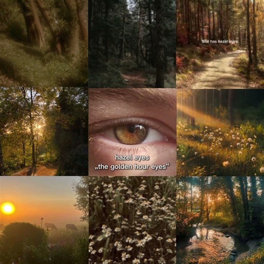 Hazel Eyes🦌 // #eye #eyes #hazel #hazeleyes