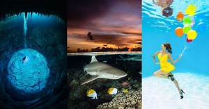 Mollusks and Models: Winners of the Ocean Art Underwater Photo Contest