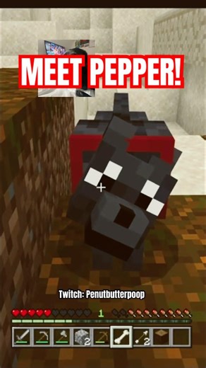 MEET PEPPER! #minecraft #funny #cute #animals #dog #streamer #clips #gaming #kids #shorts #viral