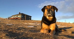 A Look at How One Zoom Lens Can Tell Three Stories