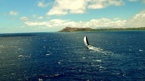 2.1K views · 53 reactions | Get to know the iconic 117-year-old Transpac Race! | Transpac | Facebook