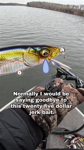 Essential Fishing Tips: Save Money with Jerkbaits