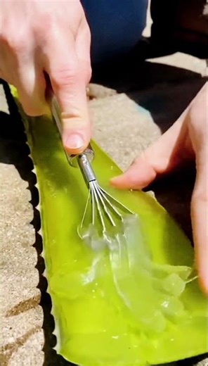 unique way to extract the contents of aloe vera plant #shorts
