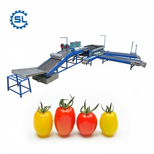 [Hot Item] Multifunctional Fruit Sorting Waxing Grading Machine Tomato Sorting Machine