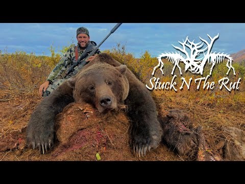THIS BEAR WAS EATING MY MOOSE!!! Alaskan Brown Bear Hunt - Stuck N The Rut 217