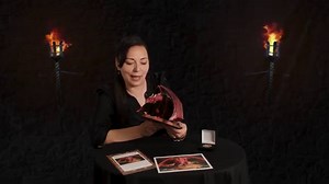 In today's Video Tuesday we show you the new Special Edition of Dragon's Lair that will be released next week. Be sure to listen with the sound on to hear the epic voice over by John Woodward. Thanks to Media Mavericks for filming this for us. | Anne Stokes