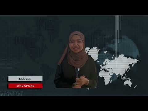 ASSIGNMENT ECO 211 (GROUP4/SINGAPORE)