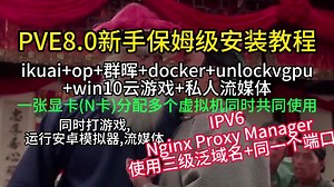 PVE8.0保姆级教程(06) IPV6+Nginx Proxy Manager反向代理和转发本地服务