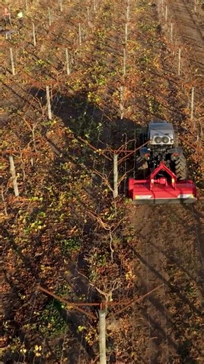 A Force doing Force things... mulching prunings and mowing cover crops without breaking a sweat. It's the horticulture powerhouse that never backs down. #Force #PoweringPerformance #Horticulture #Australia #NewZealand #UnitedKingdom #USA #BookAdemo | Trimax Mowing Systems