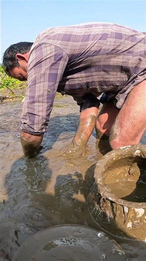 Shing Fish Hidden Under Mud | Incredible Hand Fishing Technique #MudFish #DesiFishing #RuralLife