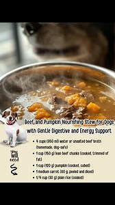 Homemade dog food recipes on Reels