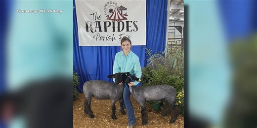 4H Livestock Show Preview: Market Lambs