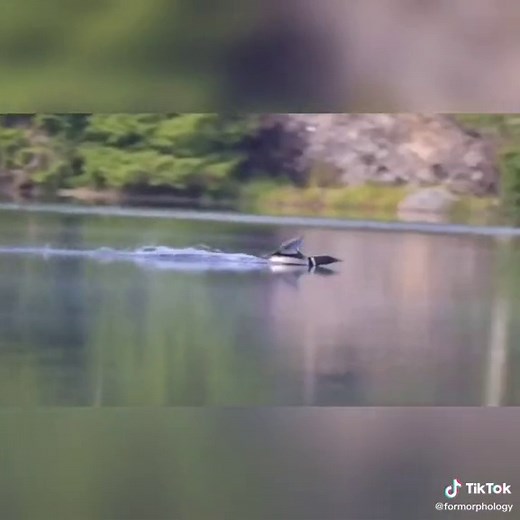 Kiersten Formoso on TikTok