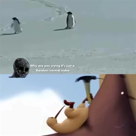 #nihilistpenguin #whypenguin | nihilist