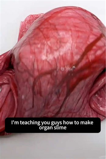 Organ Slime DIY Tutorial: Easy Steps for Beginners