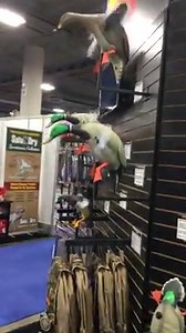 74K views · 1K reactions | Spinners running at full speed on Day 1 at SHOT Show 2017 for MOJO! | Mojo TV | Facebook