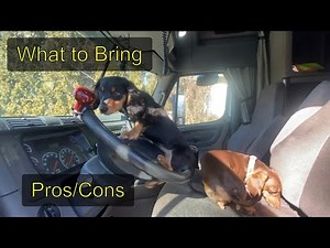 Pros and Cons of Trucking with Dogs