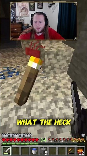 COCKROACHES in MINECRAFT!!! #shorts