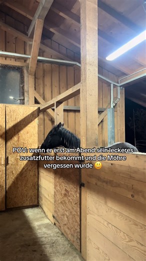 Zusatzfutter für Pferde im Winter: Tipps & Empfehlungen