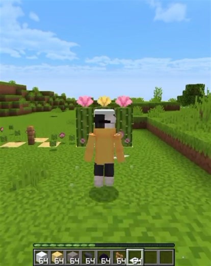 Minecraft Logic 💀