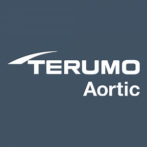 Custom Solutions | Terumo Aortic