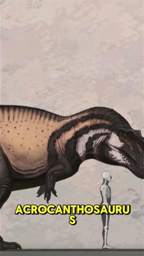 Astrodon in 60s #sauropods #dinosaurusfacts #galesaurus
