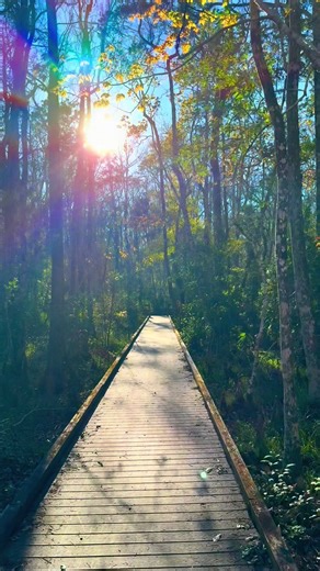 This is one of our local favorites. A stunning freshwater spring with an underwater cavern reaching about 165 feet deep. It’s so unsuspecting from the surface. Great spot to swim, scuba dive or just hike. #hiking #florida #spring #scubadiving #diving