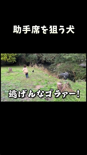 可愛い柴犬と軽トラの楽しい生活