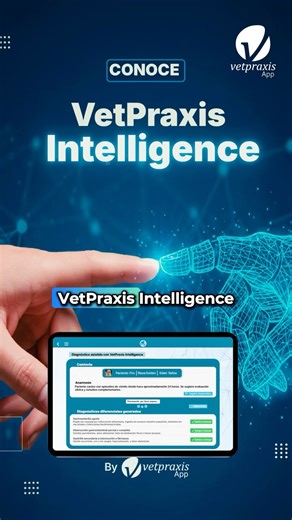 438 reactions |  Presentamos VetPraxis Intelligence  La inteligencia artificial que evoluciona contigo y con tu clínica.  Mejora tu anamnesis, exámenes clínicos, diagnósticos y tratamientos. Con VetPraxis App, la gestión veterinaria entra en una nueva dimensión: más eficiente, más profesional y lista para el futuro. #veterinaria #inteligenciaartificial #gestionveterinaria #ia #tecnologiaveterinaria | VetPraxis App | Facebook