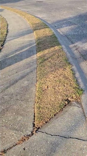 It really works! #dad #dadlife #yardwork #itworks #fyp #viral