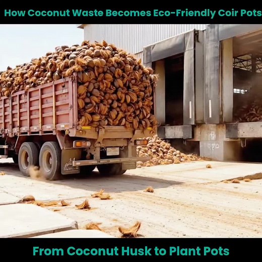 How Coconut Waste Becomes Eco-Friendly Coir Pots