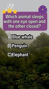 32K views · 618 reactions | Too easy?How many correct answers did you get? Visit Profile for more... Get ready for an incredible journey!  Discover mind-bending puzzles, trivia, and brain teasers that will leave you amazed. Join us as we explore the world of intellectual excitement. 易 #trivia #iq #quiz #quiztimer #riddle #knowledge #generalknowledge #fyp #foryou #fypシ゚viral #puzzle | Quiz Hub | Facebook