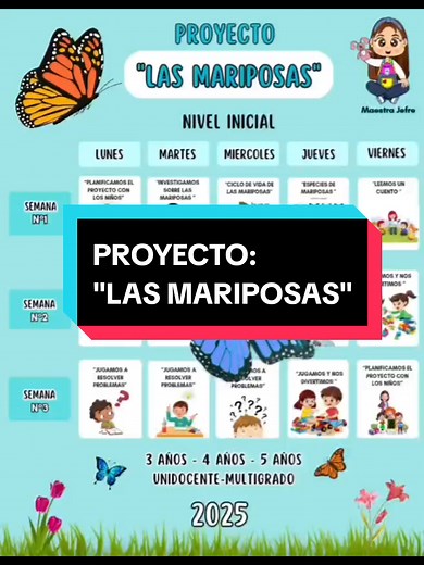 Proyecto Educativo