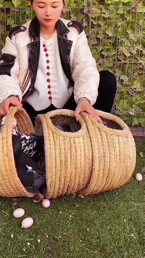 King Size Fancy Kabootar 🕊️🔥 | Giant Beauty Pigeon #Shorts #fancykabootar #pigeonlovers #kingsize