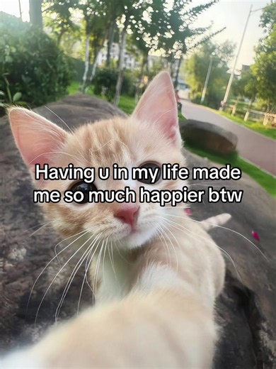 How Having a Cat Can Make You Happier
