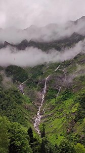 Located in the Chamoli district of Uttarakhand, Valley of Flowers Trek has long been a trekkers’ favourite. The trek takes you through a beautiful mountain region, all the way to a floral valley covered in length and breadth with numerous flowers, including some endemic species. The rich floral biodiversity of the Valley of Flowers National Park has earned it the reputation of a UNESCO World Heritage Site. The Valley of Flowers is home to an astonishing array of floral species. Some of the most 
