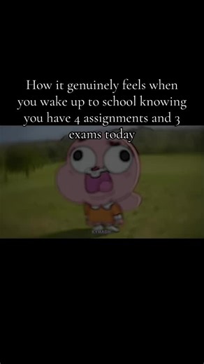 Navigating School Stress: 4 Assignments and 3 Exams