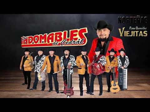 Los Indomables de Cedral – Norteño con Fuerza que No Se Detiene 🔥🎶