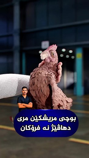 🐔 تاقیکرنا ڕاستەقینە: