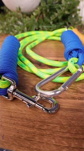 Para-Max Dog Lead 🦮