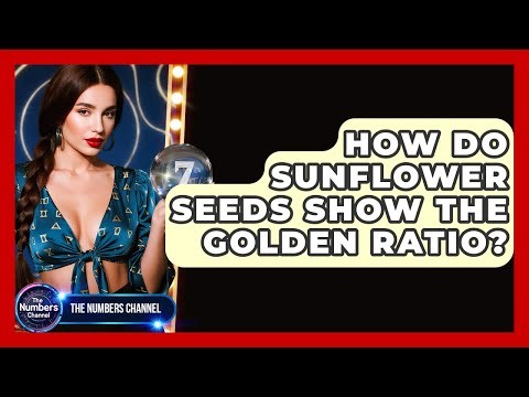 How Do Sunflower Seeds Show The Golden Ratio? - The Numbers Channel