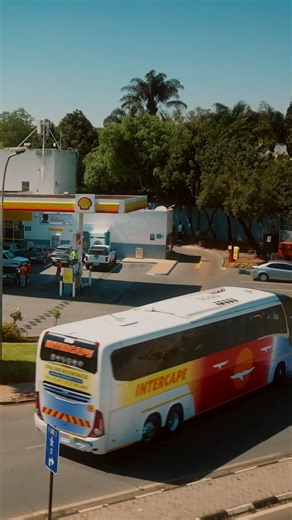 Celebrate Bagel Day with VodaBucks at Vida e Caffé!