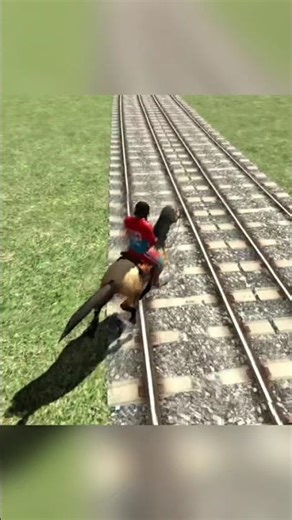 Horse JUMPS From 1000 Meter Height 😱😱