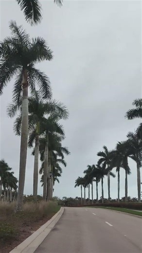 NAPLES FL ❤️☁️☁️☁️