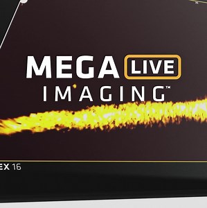See fish, structure and your next catch in real time with MEGA Live Imaging™. | Humminbird