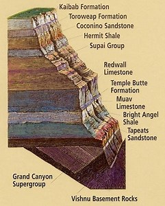 Geologic Timeline/Relative Rock Layers