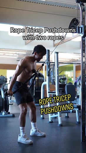 Using two ropes on Rope Tricep Pushdowns can help you get a full range of motion while keeping that slight elbow flare of 45 degrees abduction which will better bias the long head of the triceps #fyp #fitness #gym #bodybuilding