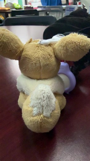 Mochi, My Adorable Eevee Companion