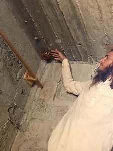 4M views · 10K reactions | Software update | UB vines | Facebook